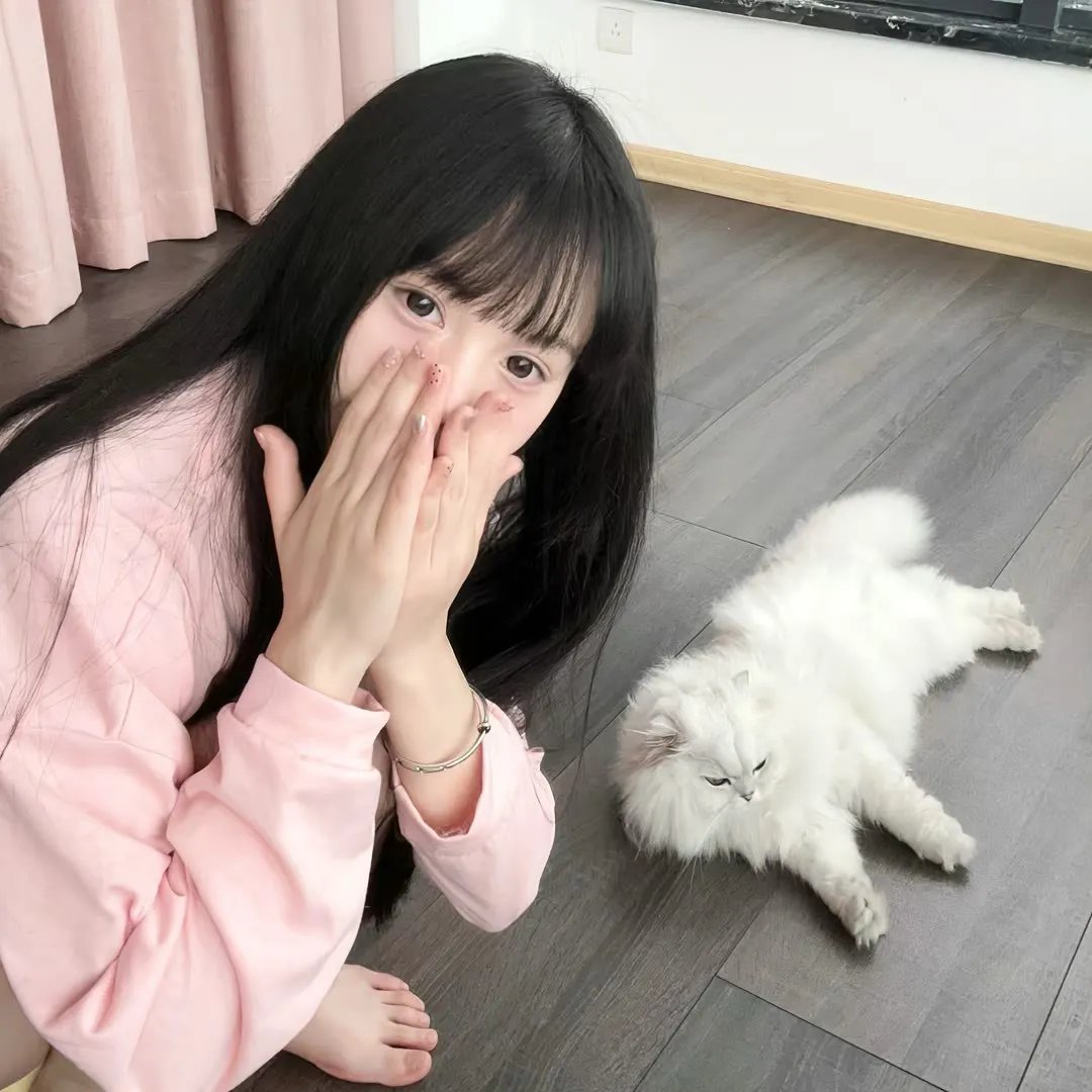 照片4